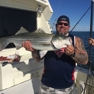 Meet your Posher, Kip